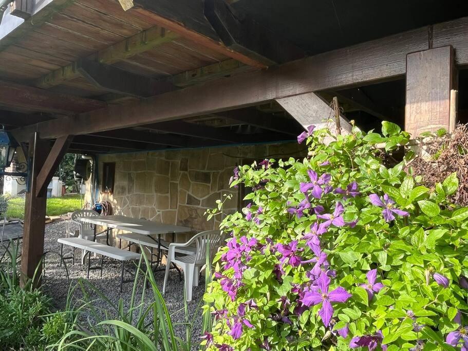Studio Renove Rdc Terrasse Wepion Namur Kültér fotó
