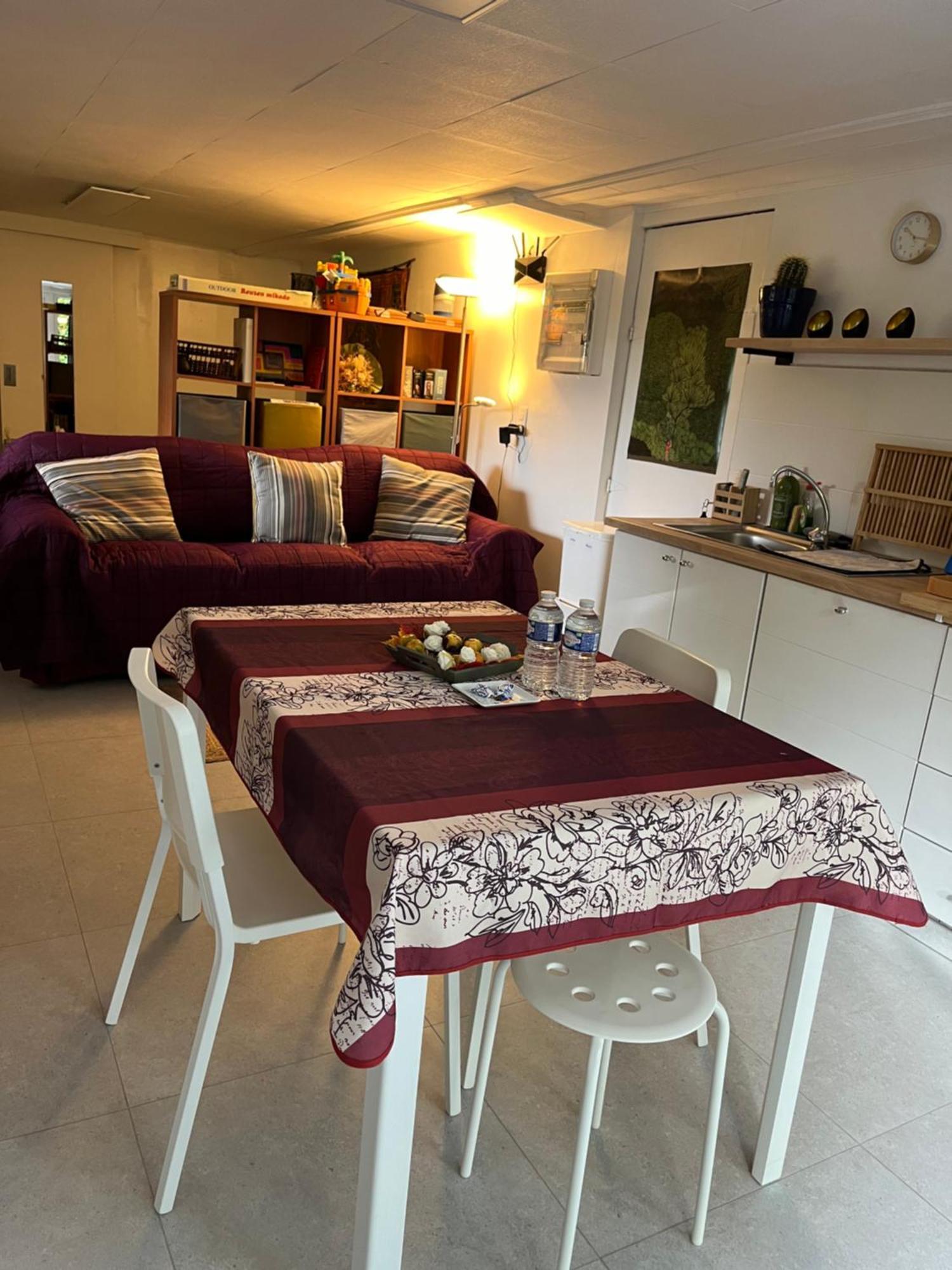 Studio Renove Rdc Terrasse Wepion Namur Kültér fotó